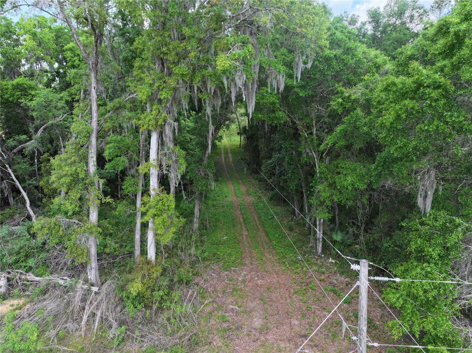 15825 NW 38TH AVE, REDDICK, FL, 32686