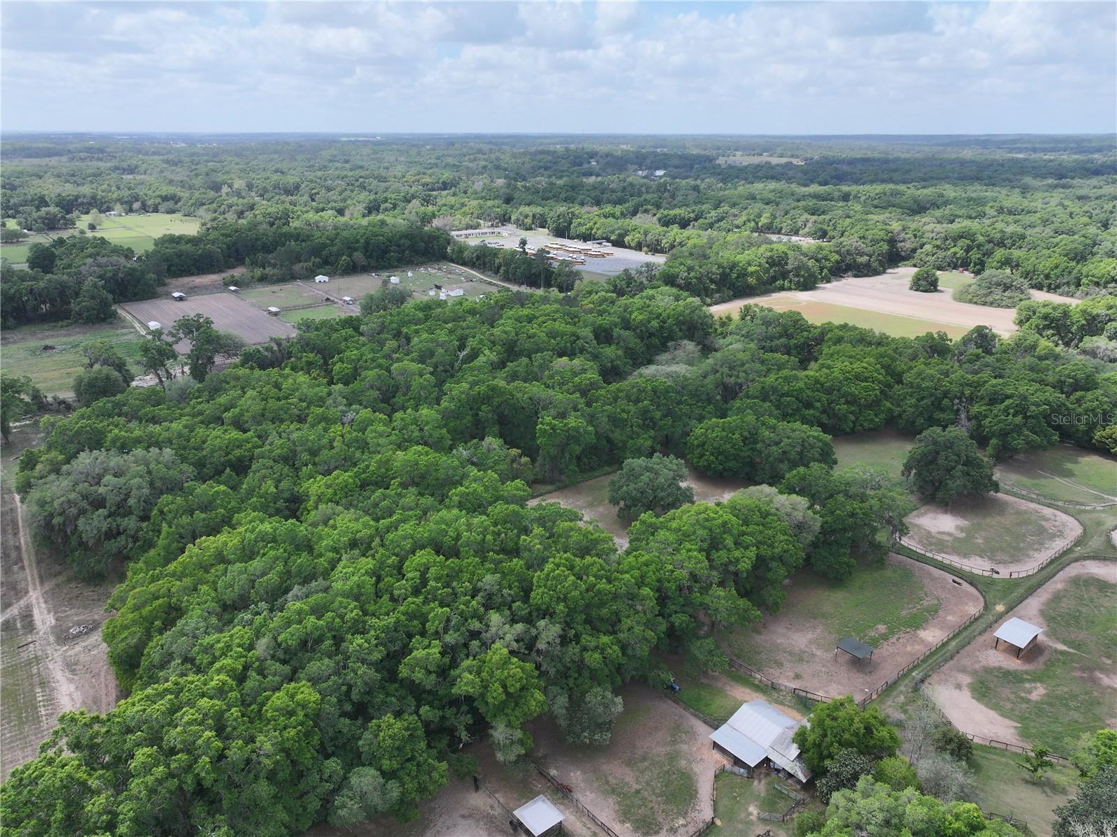 15825 NW 38TH AVE, REDDICK, FL, 32686