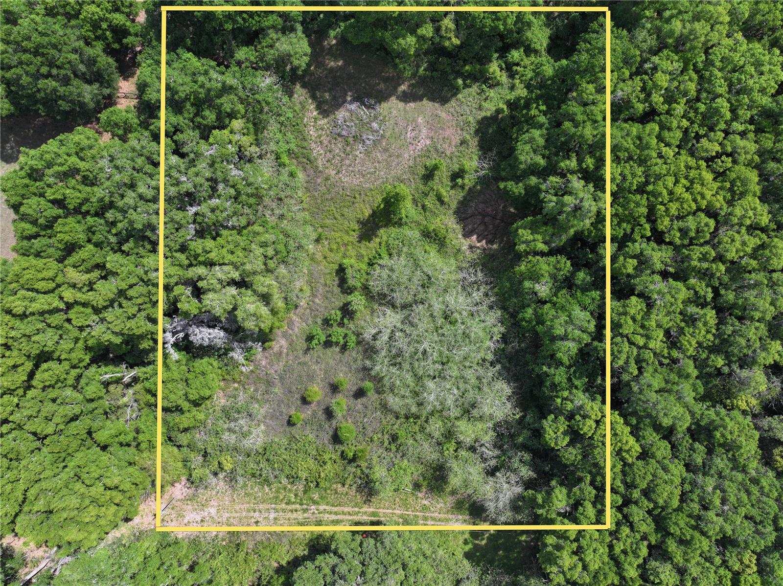 15825 NW 38TH AVE, REDDICK, FL, 32686