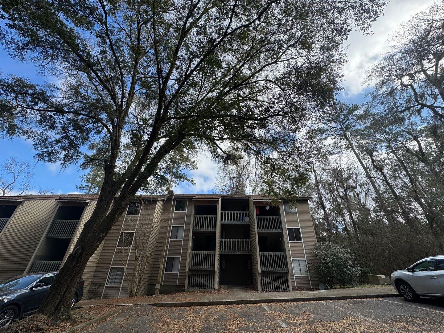 111 SE 16TH AVE #O302, GAINESVILLE, FL, 32601