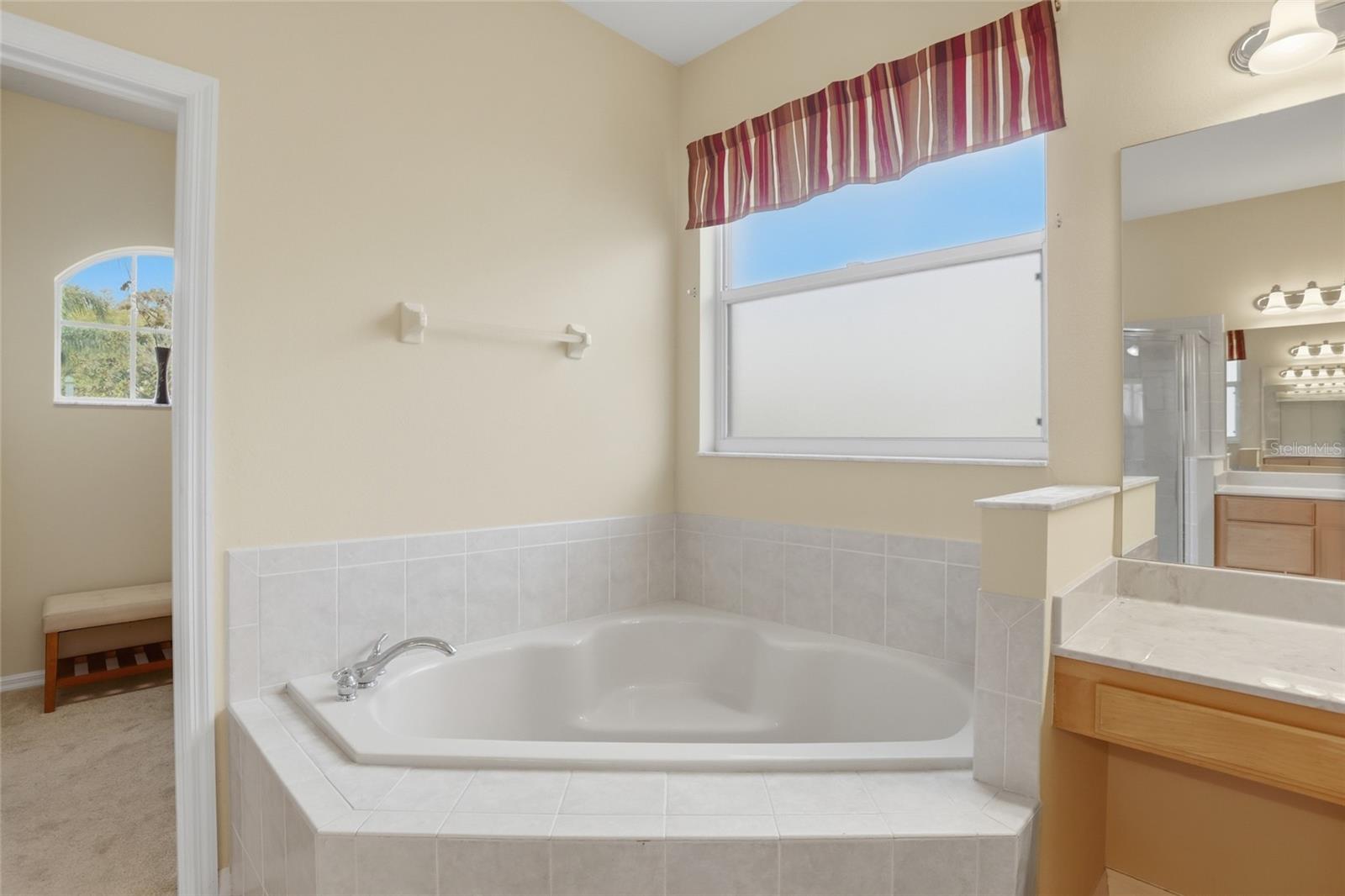 14180 ISLAMORADA DR, ORLANDO, FL, 32837