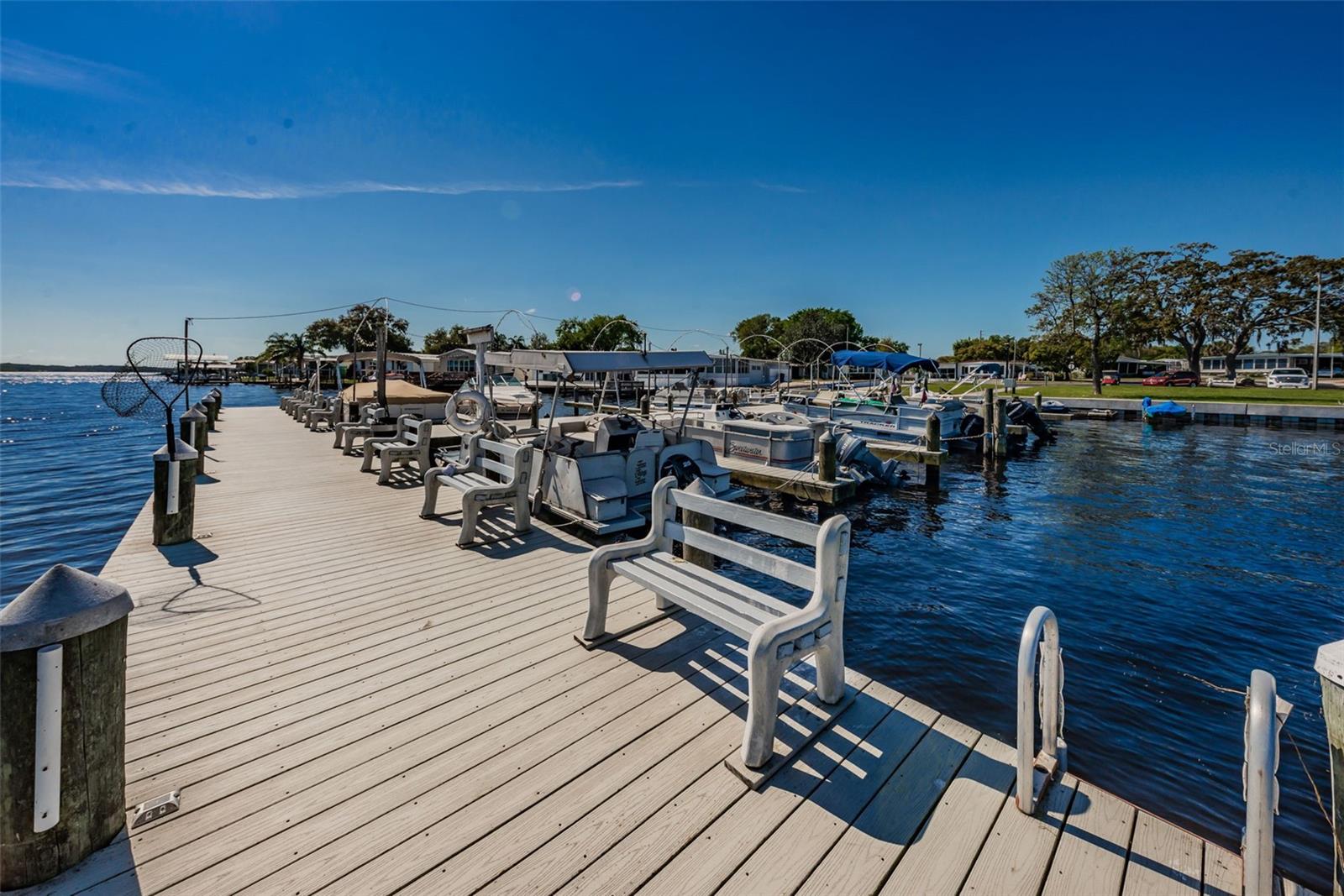29 CONCORD LN #11, PALM HARBOR, FL, 34684