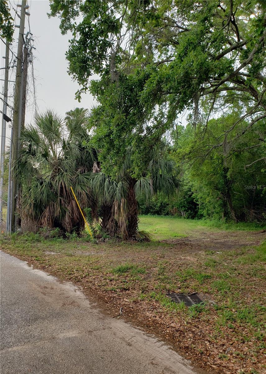 GROSSE AVE, TARPON SPRINGS, FL, 34689