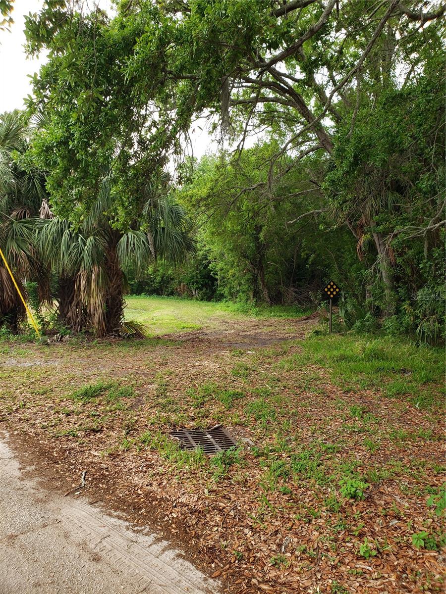 GROSSE AVE, TARPON SPRINGS, FL, 34689