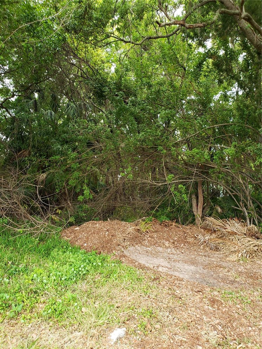 GROSSE AVE, TARPON SPRINGS, FL, 34689
