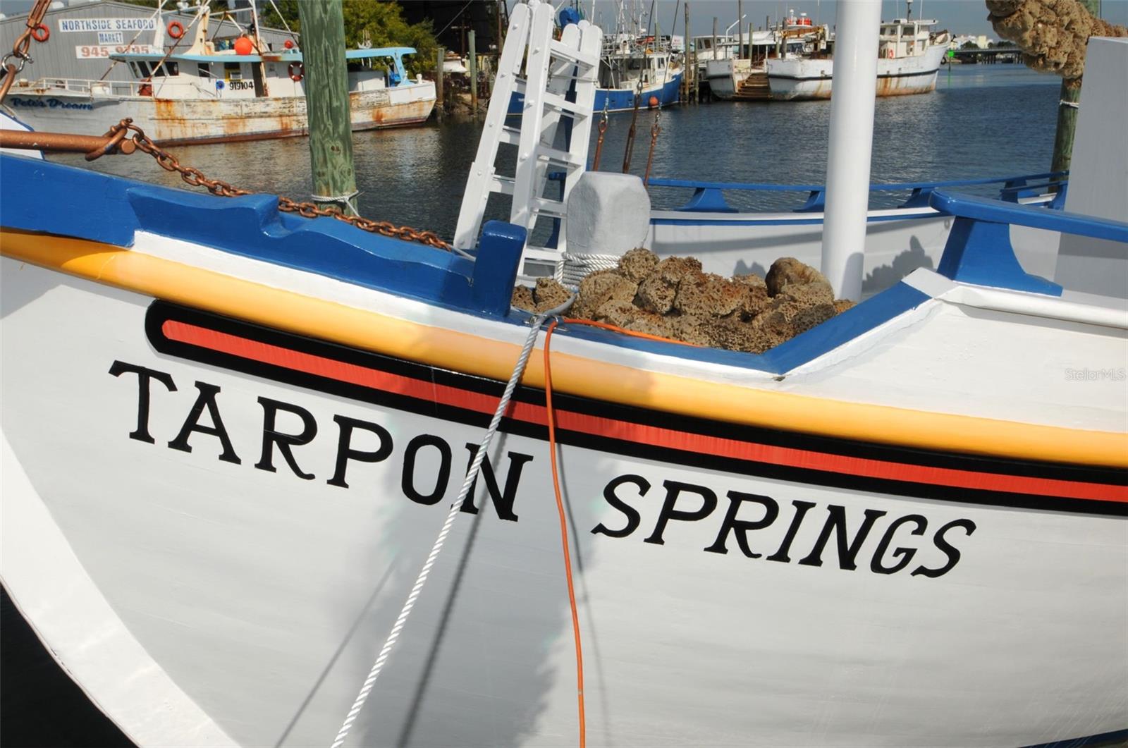 GROSSE AVE, TARPON SPRINGS, FL, 34689