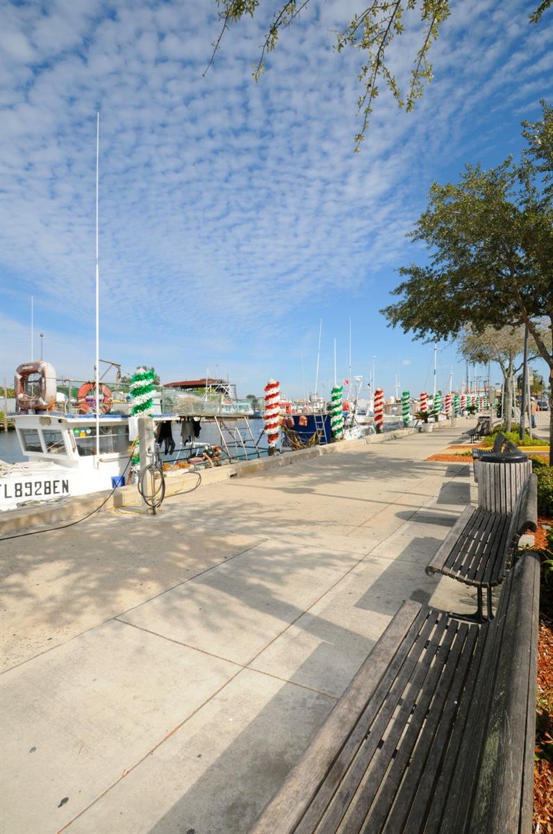 GROSSE AVE, TARPON SPRINGS, FL, 34689