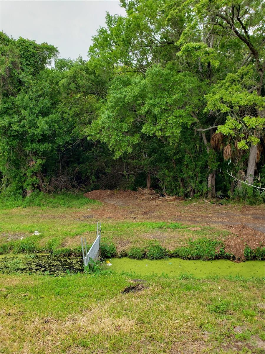 GROSSE AVE, TARPON SPRINGS, FL, 34689