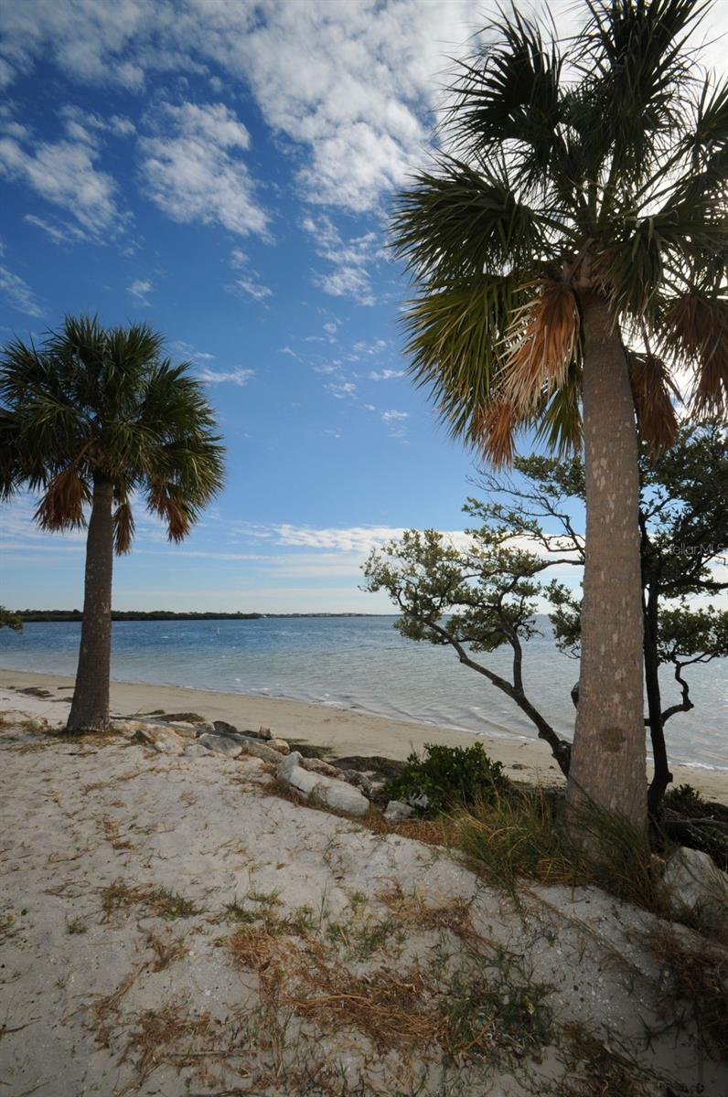 GROSSE AVE, TARPON SPRINGS, FL, 34689