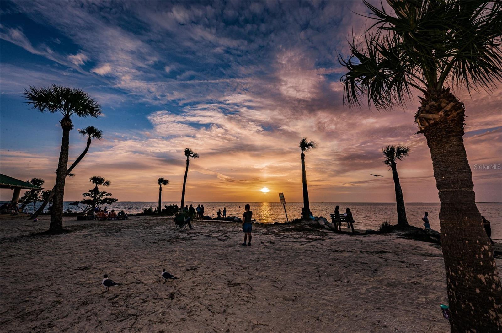 GROSSE AVE, TARPON SPRINGS, FL, 34689