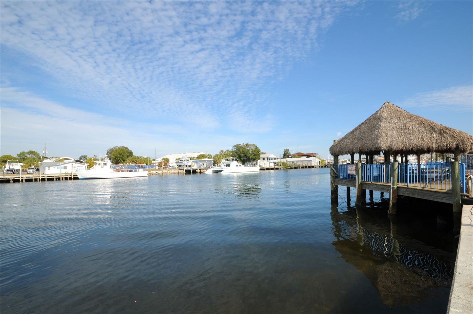 GROSSE AVE, TARPON SPRINGS, FL, 34689