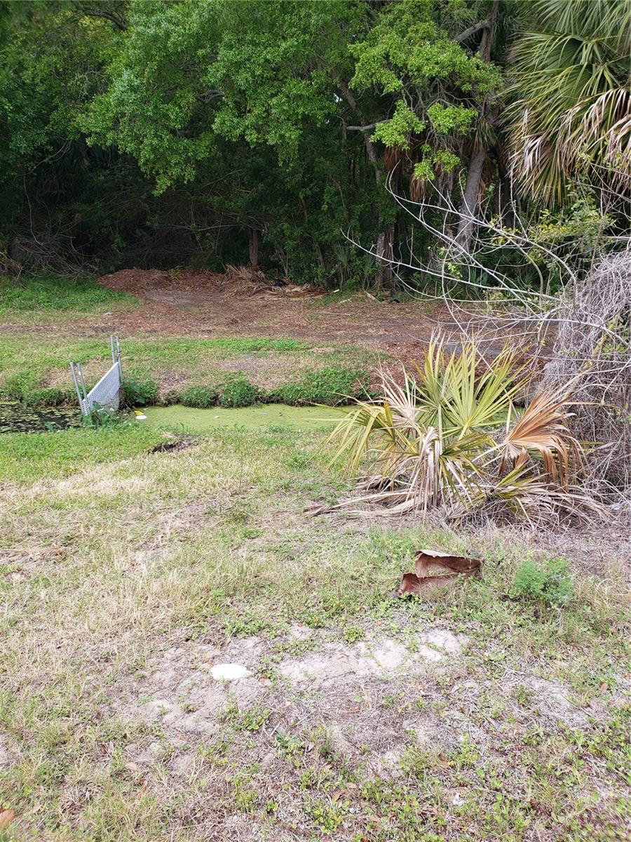 GROSSE AVE, TARPON SPRINGS, FL, 34689