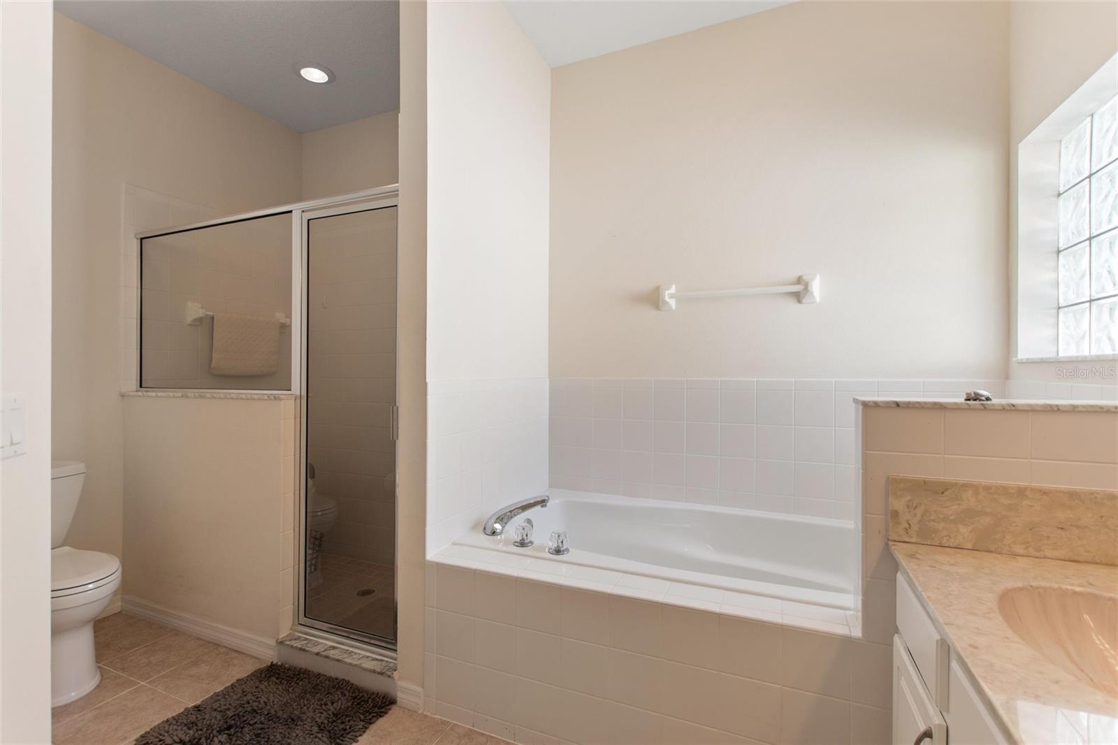 612 VISTA OAKS WAY, DAVENPORT, FL, 33837
