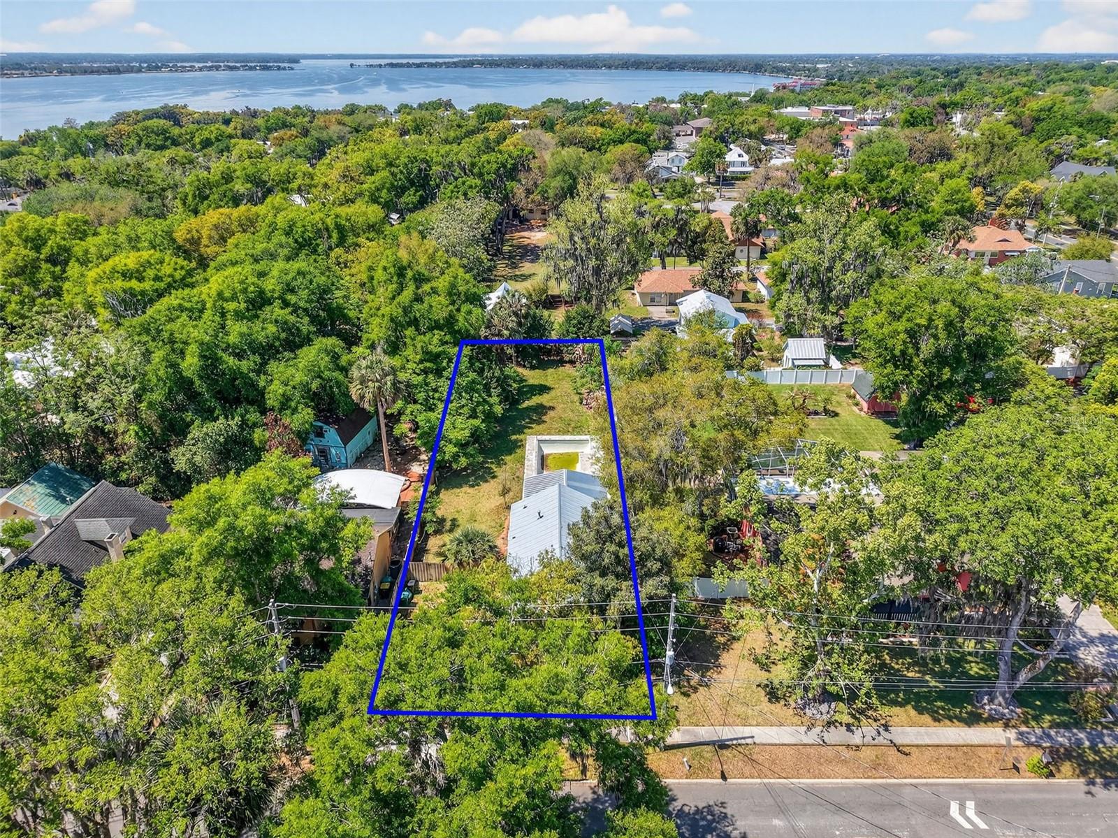 339 N CLAYTON ST, MOUNT DORA, FL, 32757