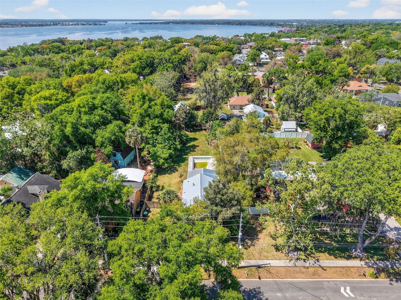 339 N CLAYTON ST, MOUNT DORA, FL, 32757