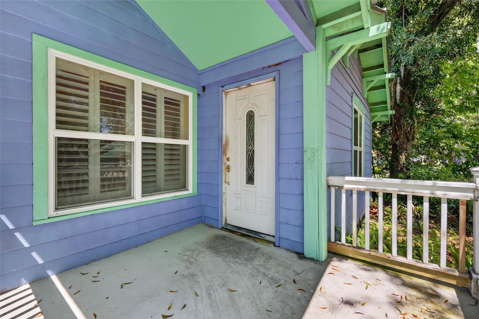 339 N CLAYTON ST, MOUNT DORA, FL, 32757