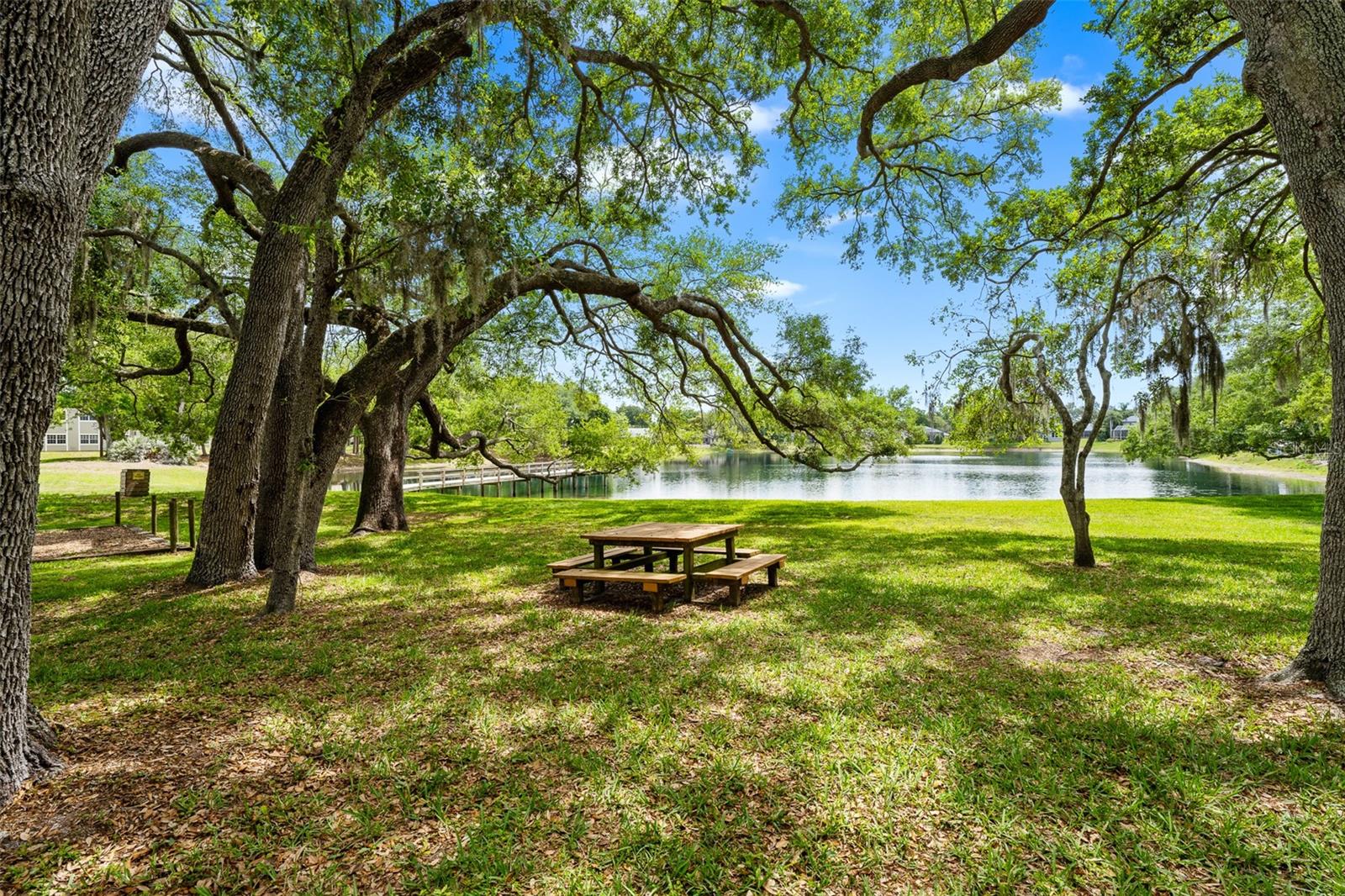 4829 PARSON BROWN LN, PALM HARBOR, FL, 34684