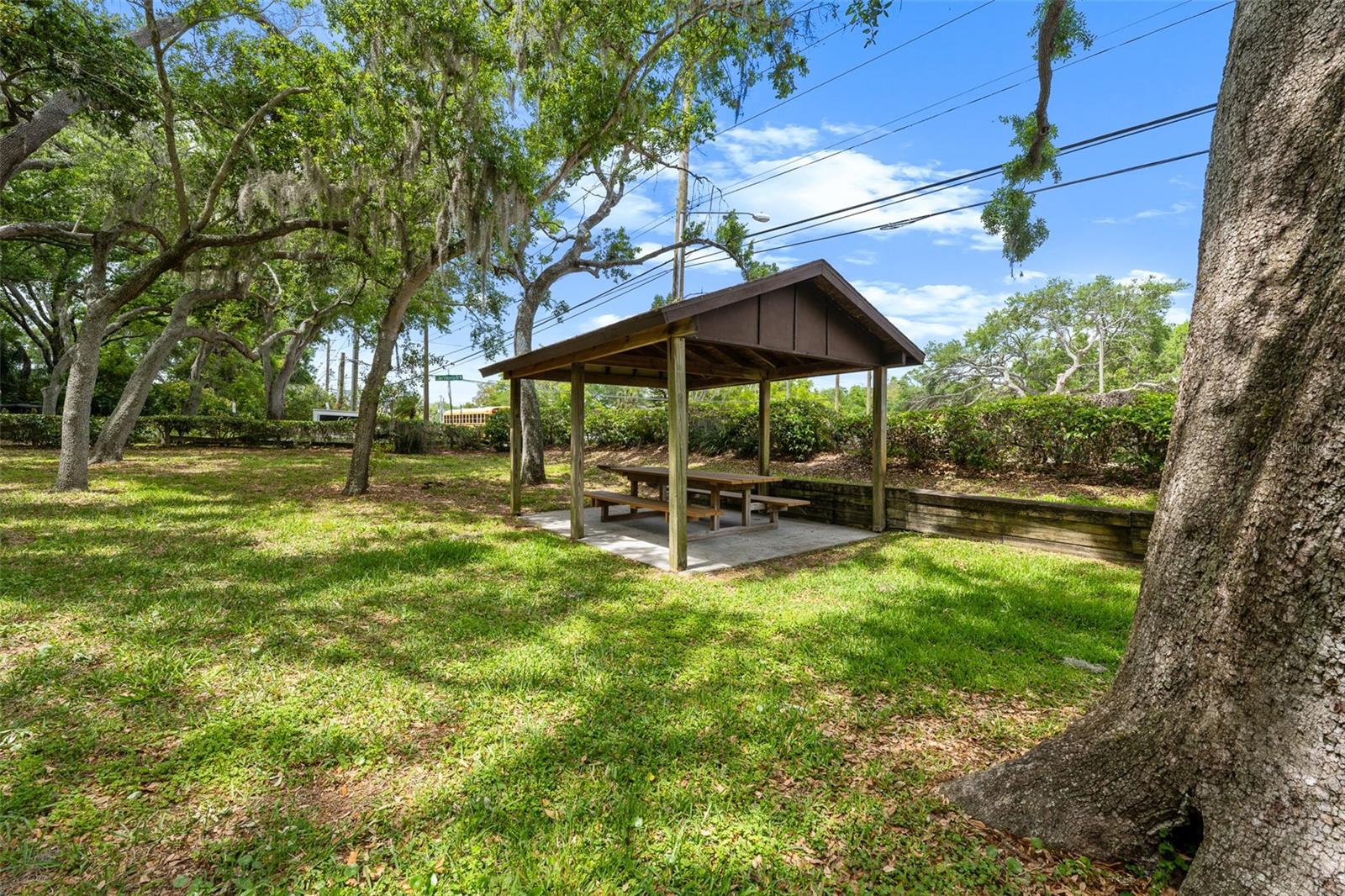 4829 PARSON BROWN LN, PALM HARBOR, FL, 34684