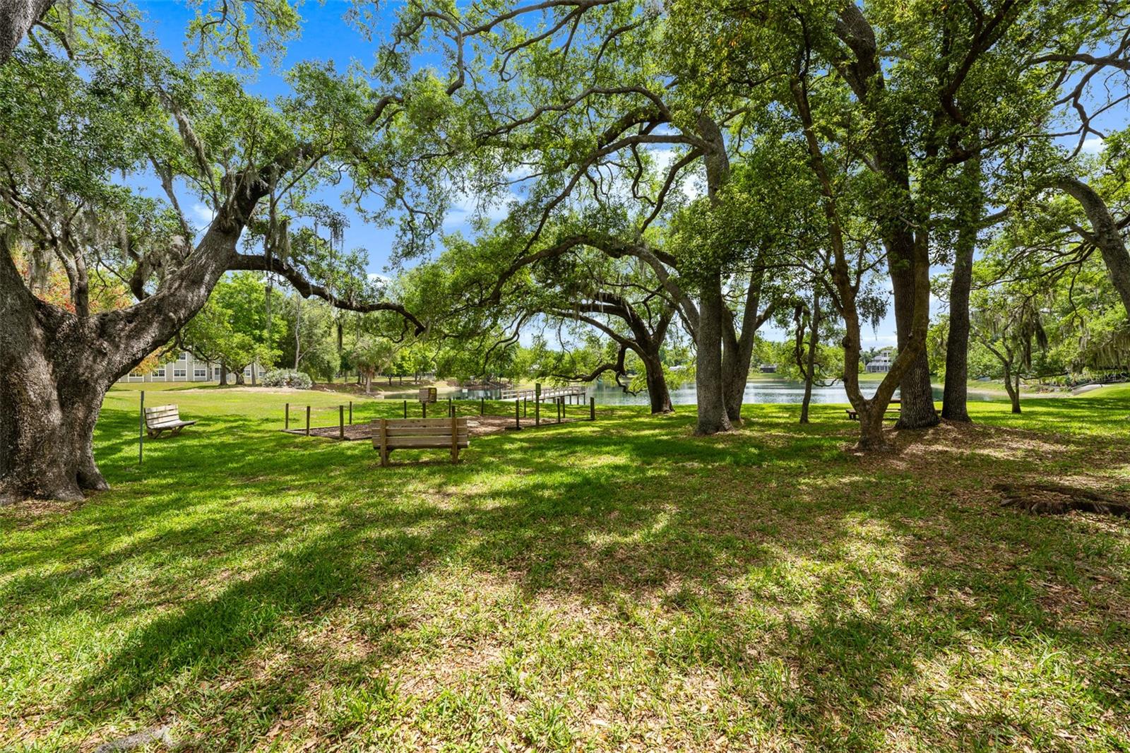 4829 PARSON BROWN LN, PALM HARBOR, FL, 34684