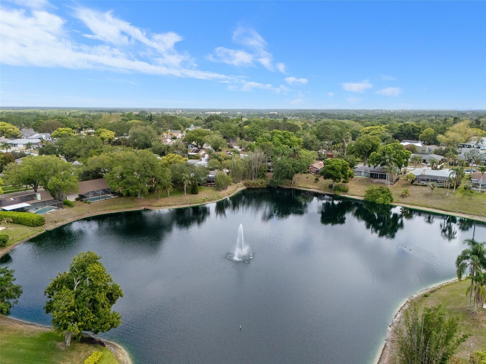4829 PARSON BROWN LN, PALM HARBOR, FL, 34684