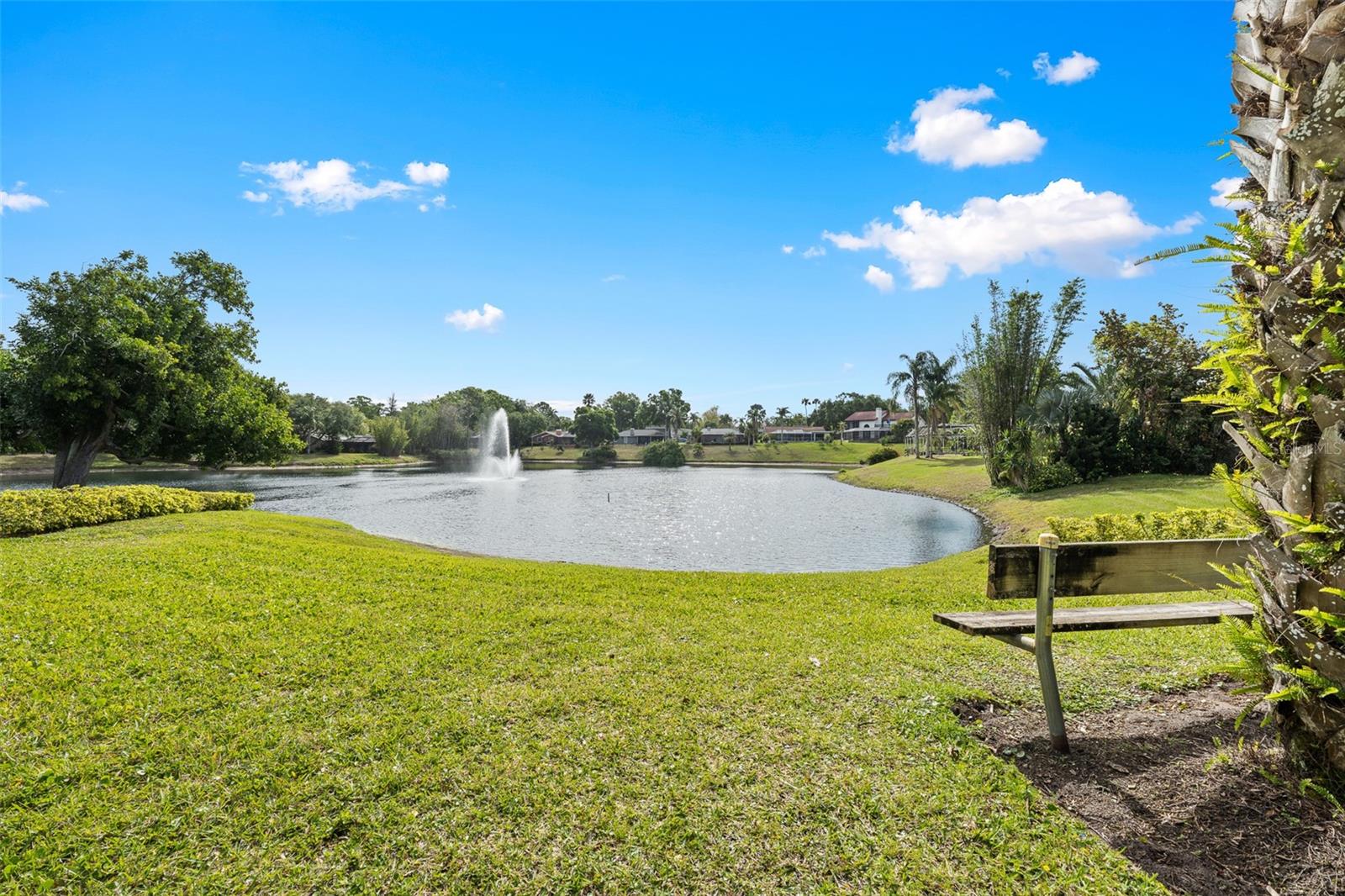 4829 PARSON BROWN LN, PALM HARBOR, FL, 34684