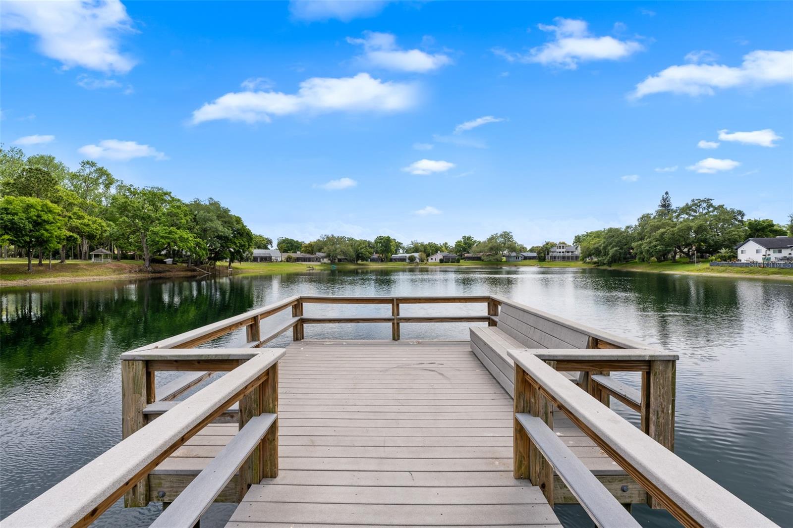 4829 PARSON BROWN LN, PALM HARBOR, FL, 34684