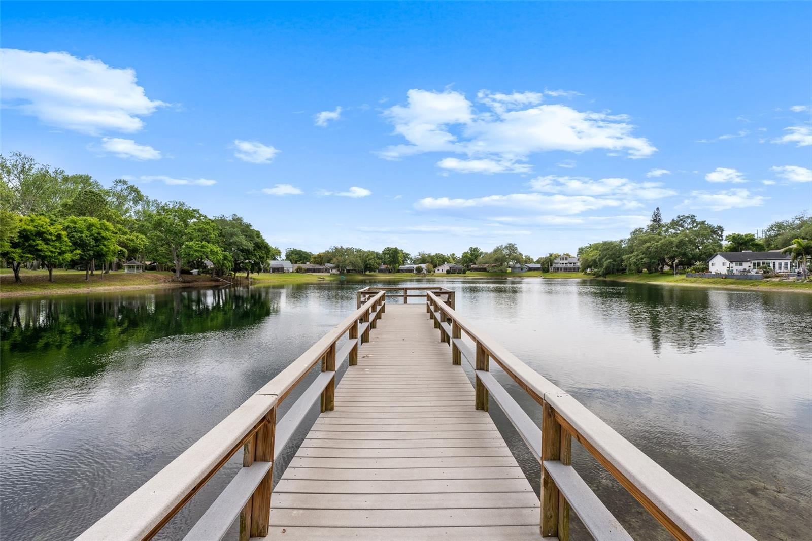 4829 PARSON BROWN LN, PALM HARBOR, FL, 34684