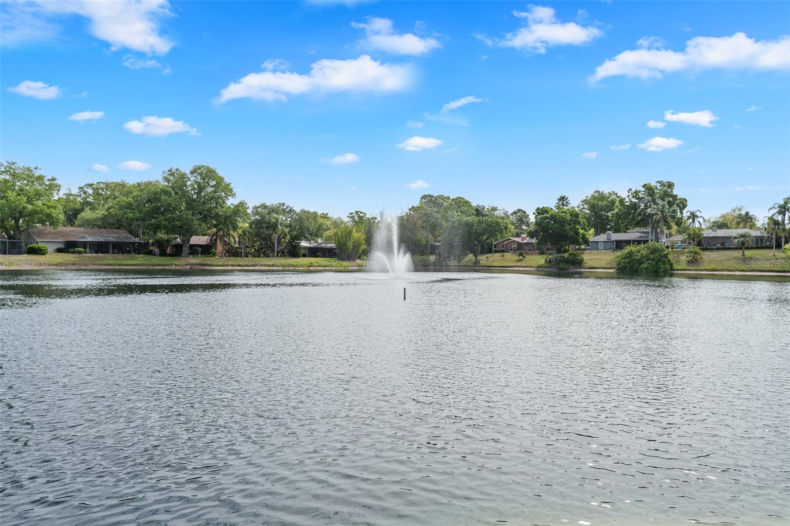 4829 PARSON BROWN LN, PALM HARBOR, FL, 34684