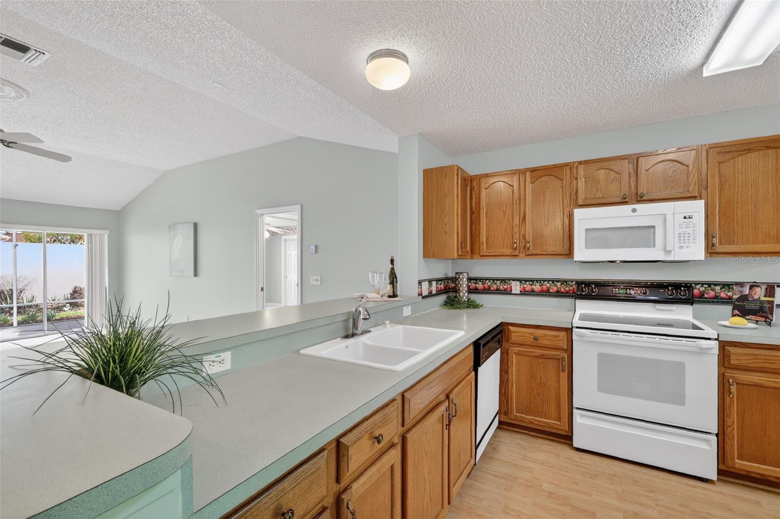 1712 CARRERA DR, THE VILLAGES, FL, 32159