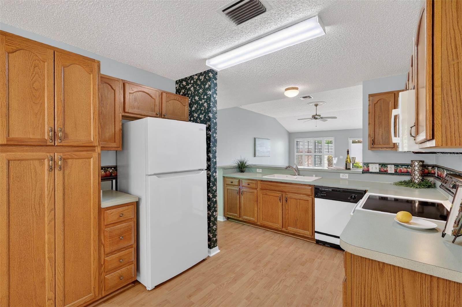 1712 CARRERA DR, THE VILLAGES, FL, 32159