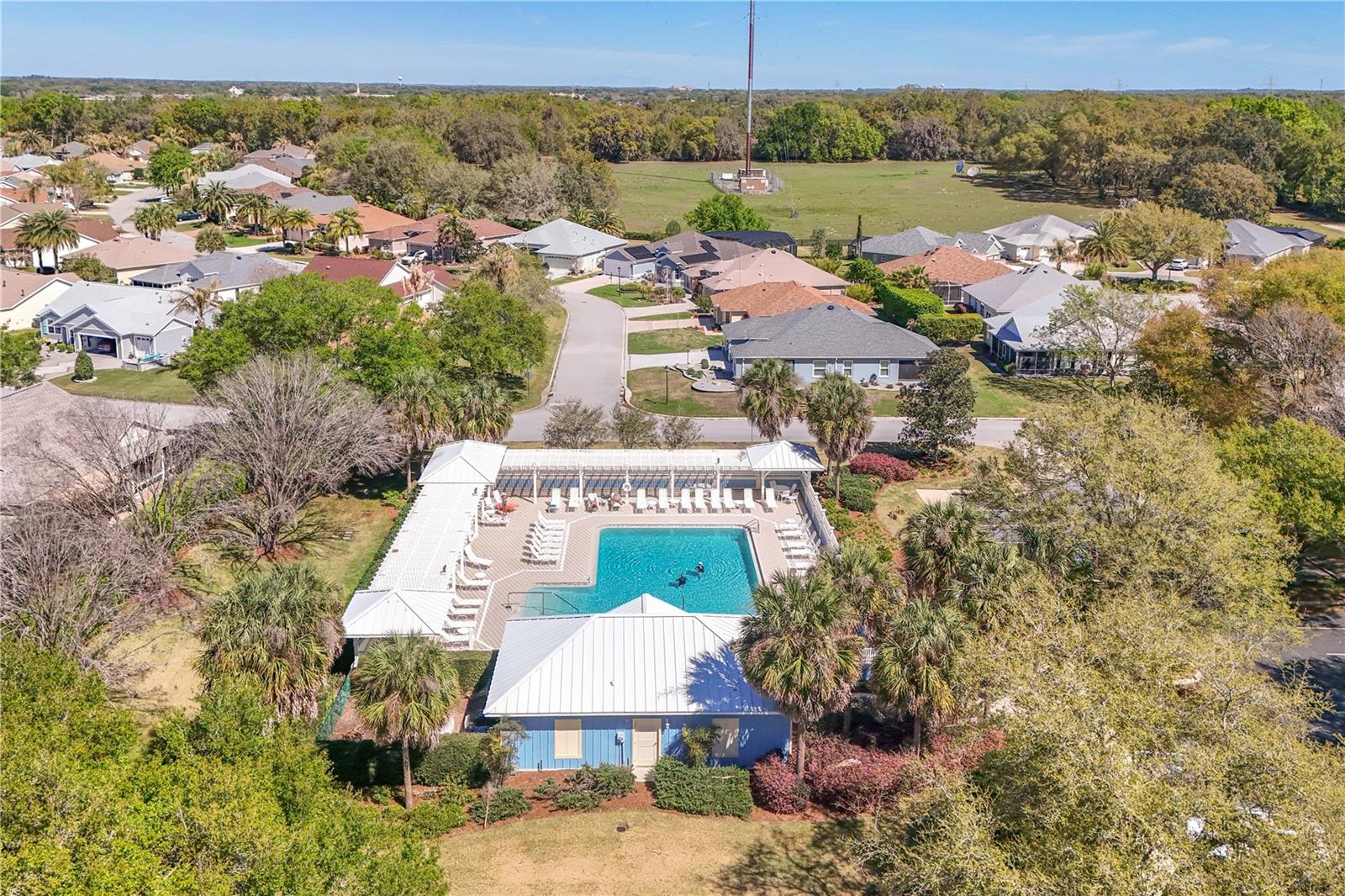 1147 ELIZABETH CT, THE VILLAGES, FL, 32162