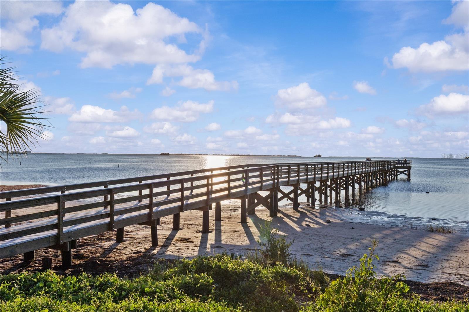 600 N MAYO ST, CRYSTAL BEACH, FL, 34681