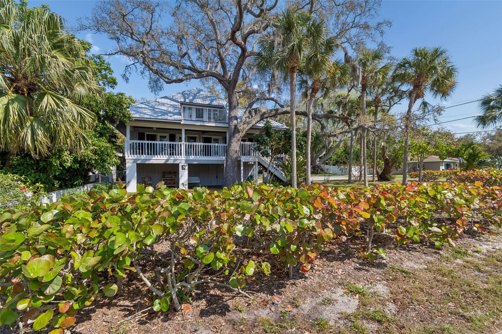 600 N MAYO ST, CRYSTAL BEACH, FL, 34681
