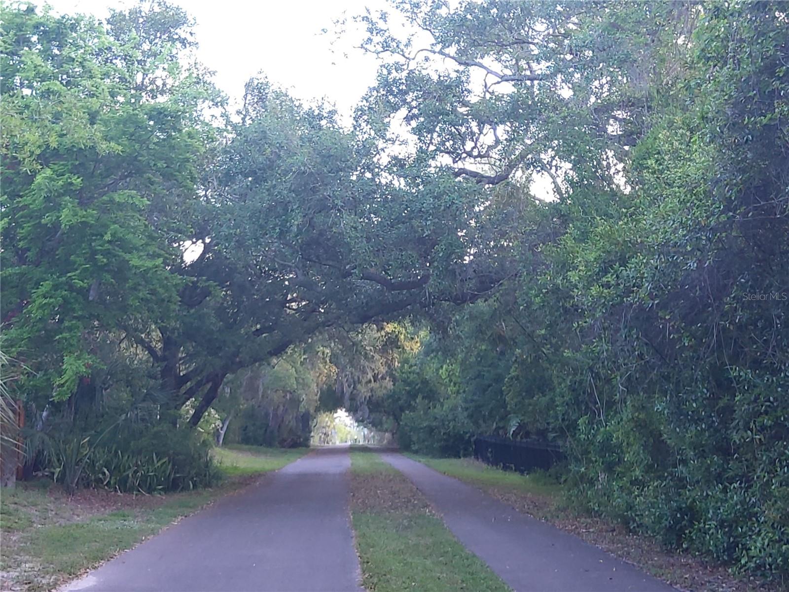 600 N MAYO ST, CRYSTAL BEACH, FL, 34681