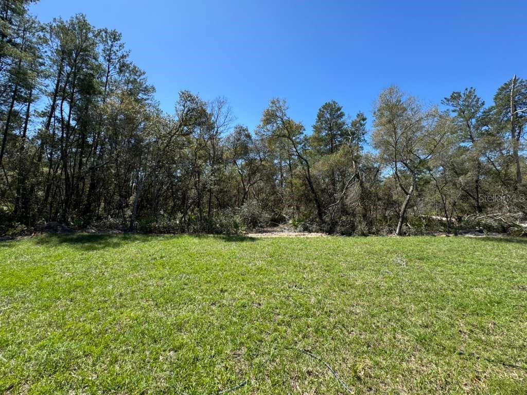 16090 SW 35TH COURT RD, OCALA, FL, 34473