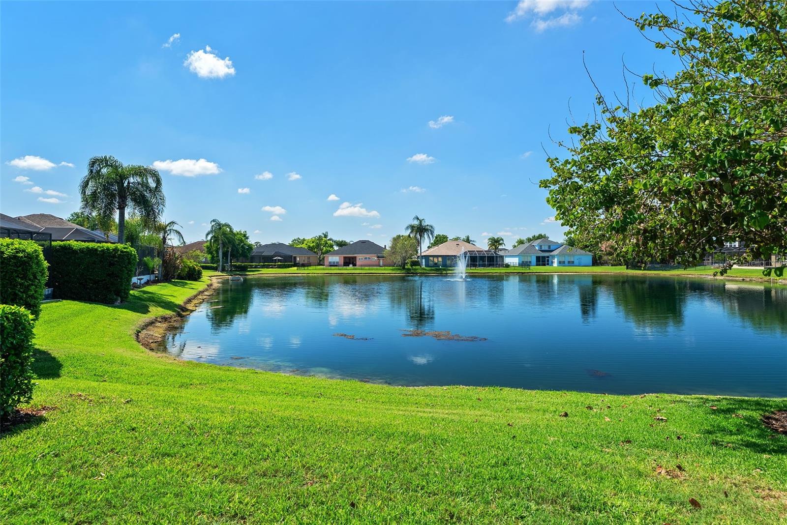 22810 COLLRIDGE DR, LAND O LAKES, FL, 34639