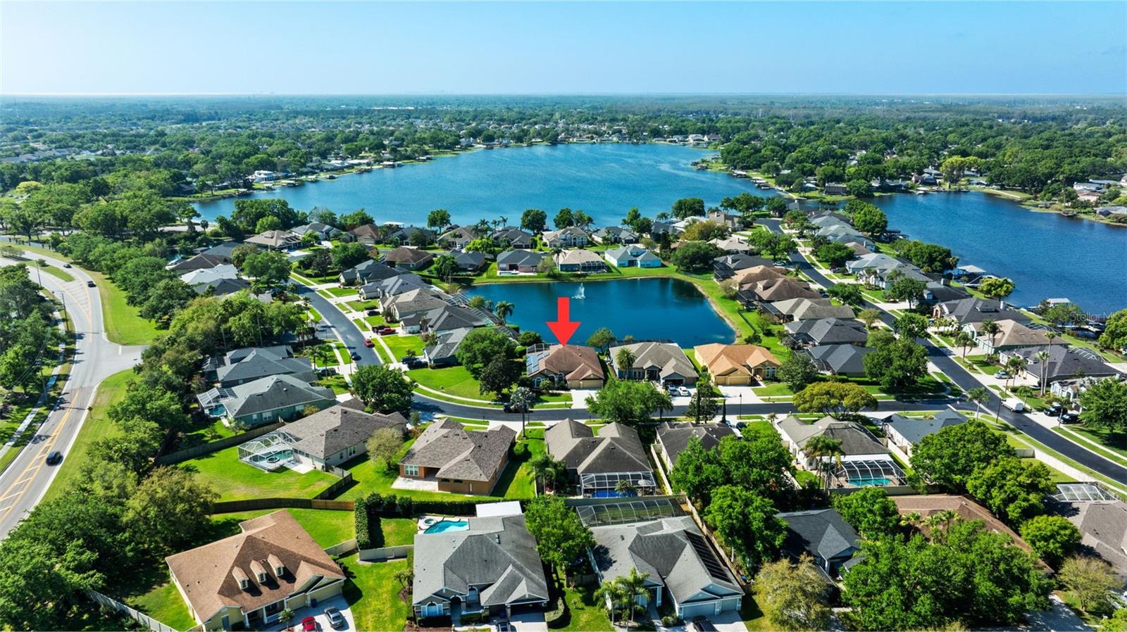 22810 COLLRIDGE DR, LAND O LAKES, FL, 34639