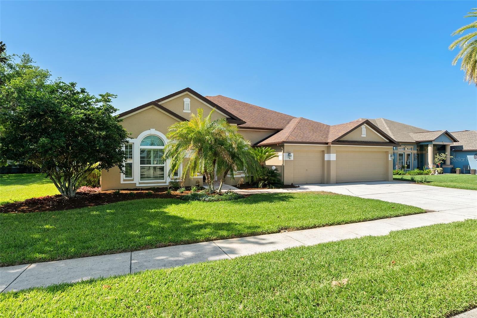 22810 COLLRIDGE DR, LAND O LAKES, FL, 34639