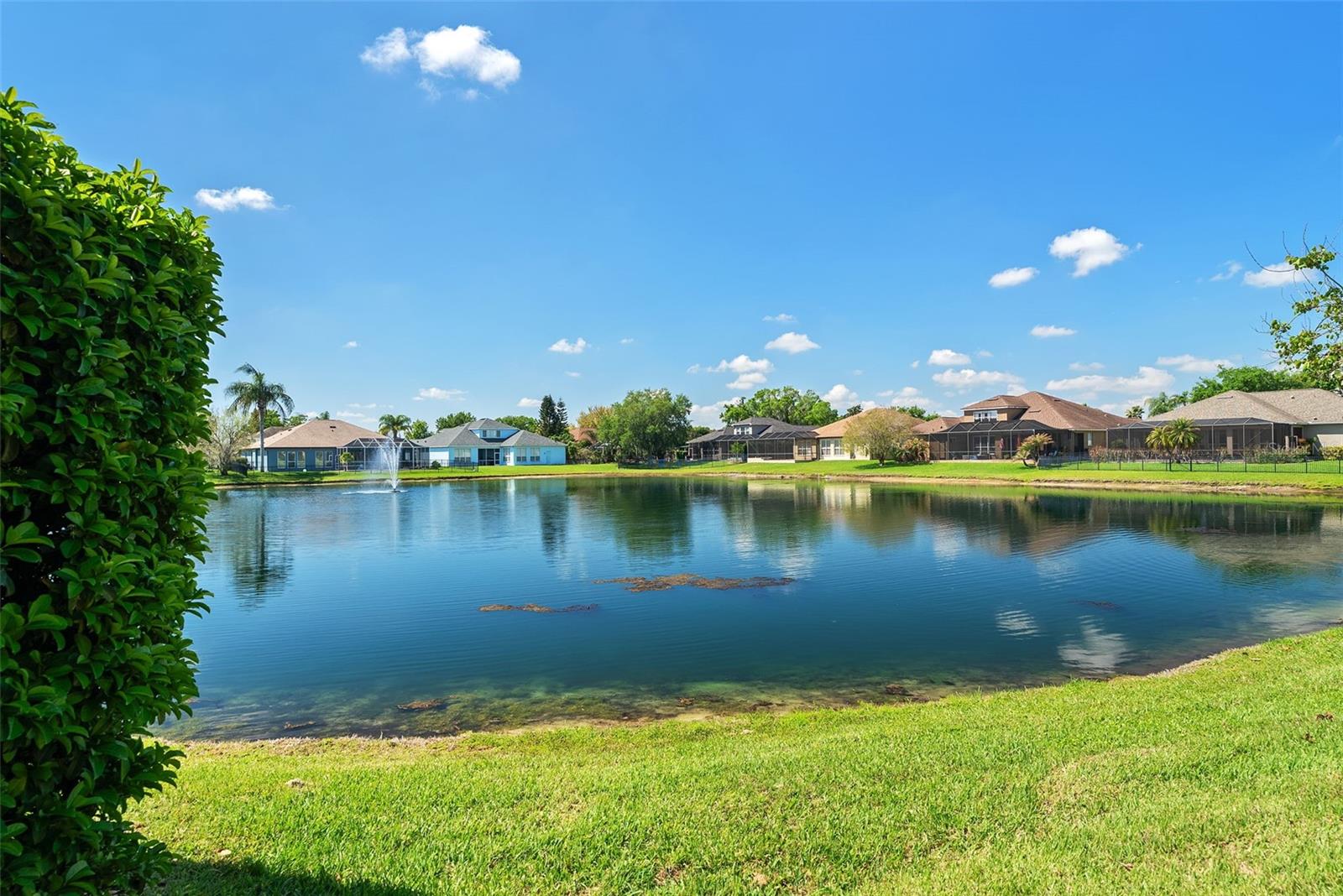 22810 COLLRIDGE DR, LAND O LAKES, FL, 34639