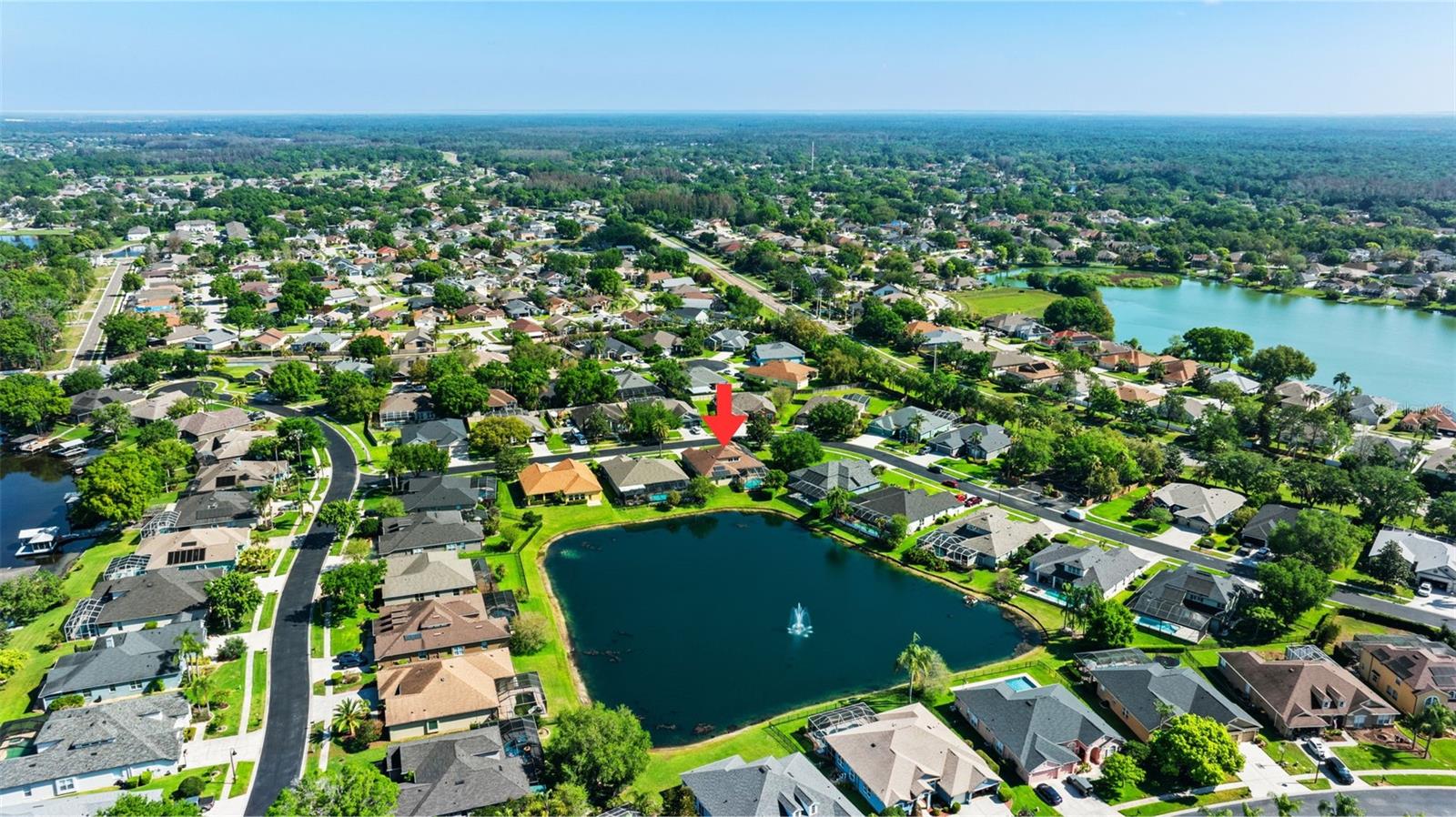 22810 COLLRIDGE DR, LAND O LAKES, FL, 34639