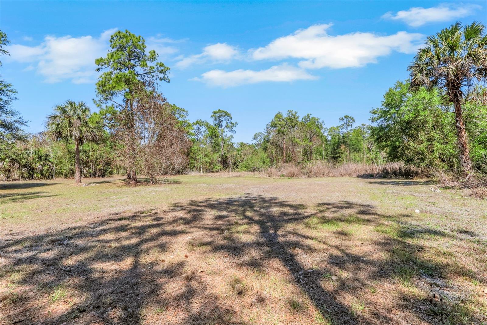 2977 4TH AVE SE, NAPLES, FL, 34117