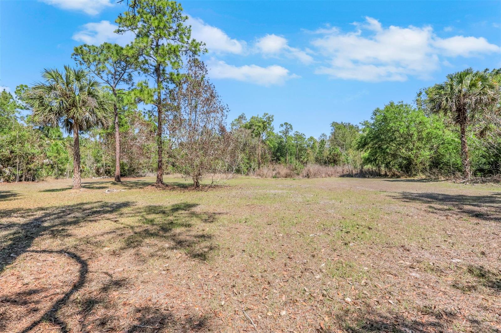 2977 4TH AVE SE, NAPLES, FL, 34117