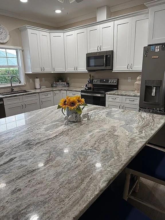 117 ROSEWOOD DR N, LAKE PLACID, FL, 33852