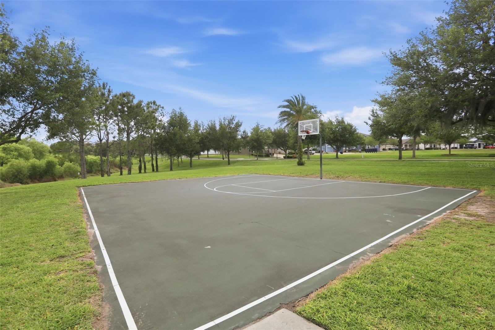 14834 BAHAMA SWALLOW BLVD, WINTER GARDEN, FL, 34787