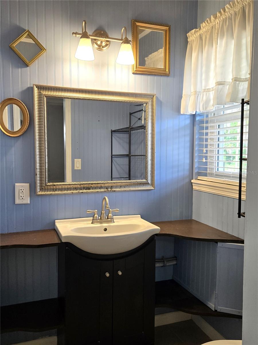 506 E GOTTSCHE AVE, EUSTIS, FL, 32726
