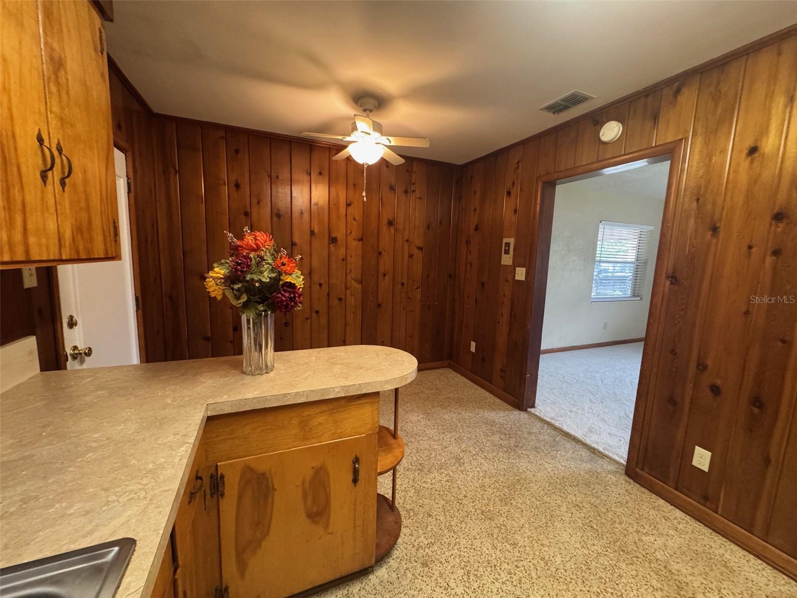 1038 SE 30TH AVE, OCALA, FL, 34471