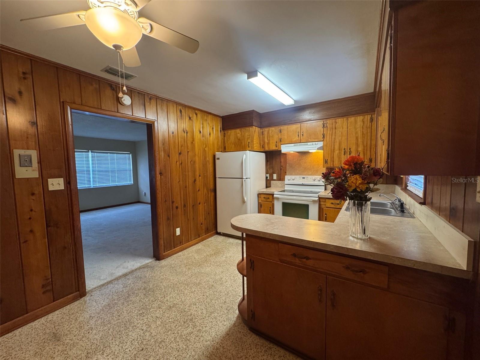 1038 SE 30TH AVE, OCALA, FL, 34471