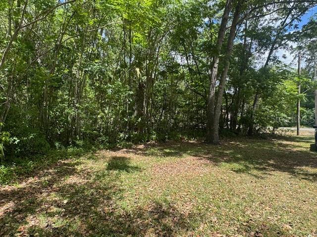 1038 SE 30TH AVE, OCALA, FL, 34471