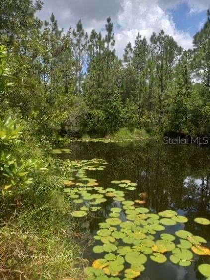 2477 THACKER TRL, KISSIMMEE, FL, 34747