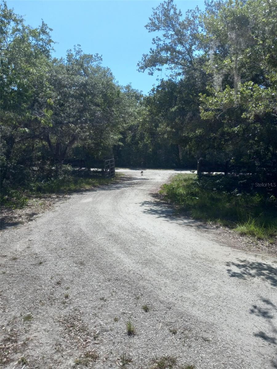 2477 THACKER TRL, KISSIMMEE, FL, 34747